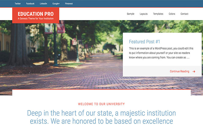 wordpress theme for institute