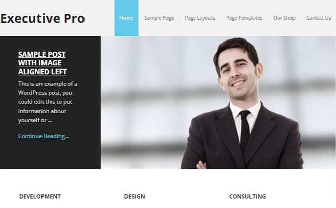 business wordpress theme