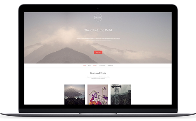 An advanced and elegant WordPress theme