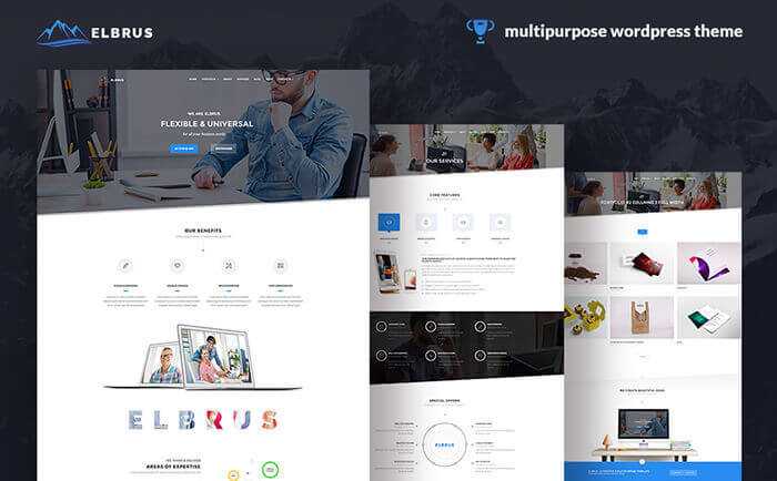 best selling wordpress themes