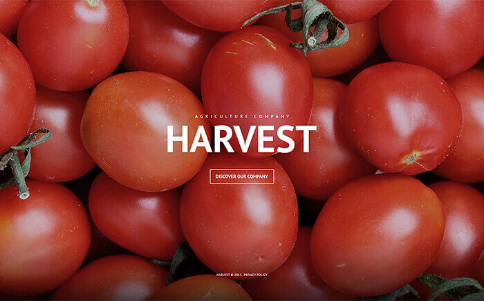 Agriculture WordPress Template