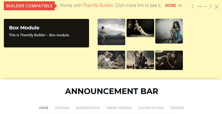 Announcement Bar display example