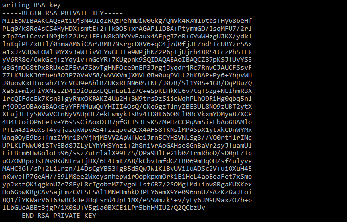 print rsa private key