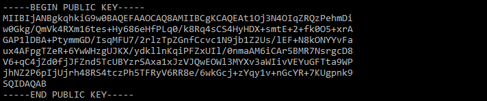 print rsa public key